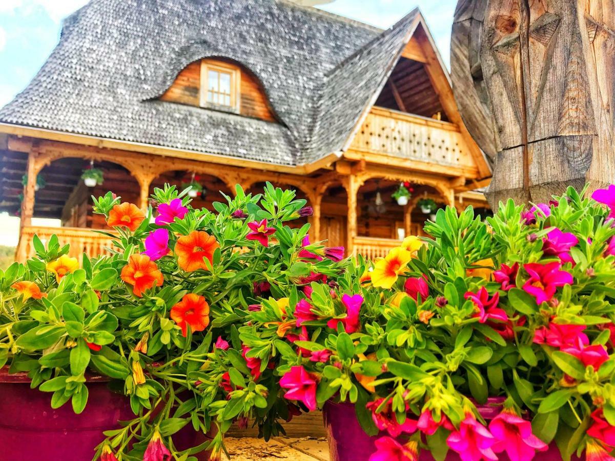 Hotel Casa Chira Vişeu de Sus Exterior foto